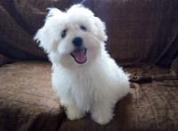 /album/fenykepgaleria/img-20201002-181301-jpg1/