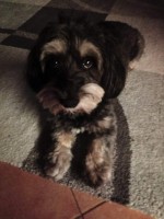 /album/fenykepgaleria/received-3419515204752267-jpeg/