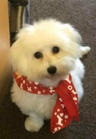 /album/fenykepgaleria/received-10210359394370905-jpeg1/