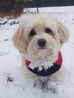 /album/fenykepgaleria/received-10211134296382971-jpeg/