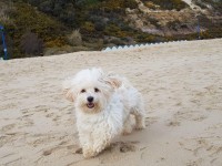 /album/fenykepgaleria/received-10211262436506394-jpeg1/