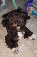 /album/fenykepgaleria/img-20200725-185657-jpg1/